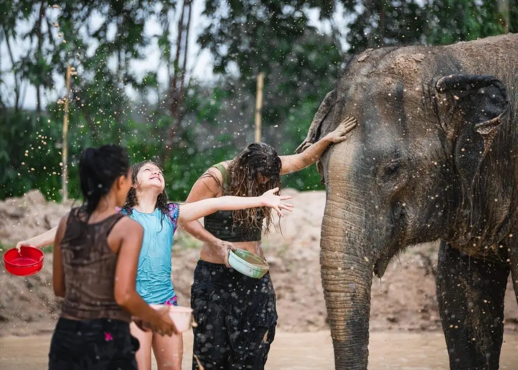 Splashing Around With Elephants In Pattaya, I don't think there is a more fun thing to do in pattaya