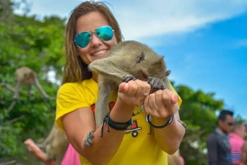 guest and a macaque on monkey island
