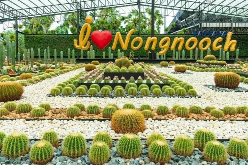 tropical gardens of nong nooch cacti