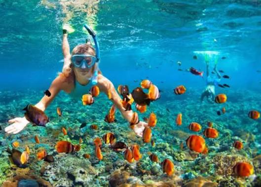 snorkeling on the reef at Koh barn, the nearest place to Bangkok